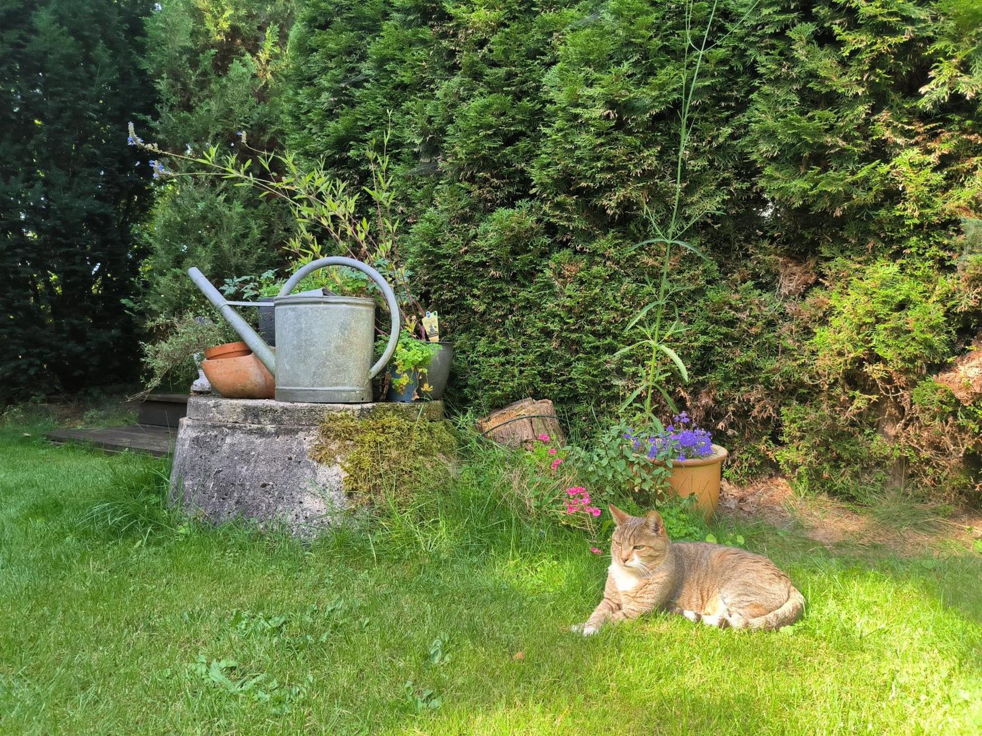 Ferienhaus Inger - Stilvolles Und Modernes Ferienhaus Mit Terrasse Und Gartennutzung Tarp Exteriér fotografie